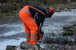 work-2018661_960_720